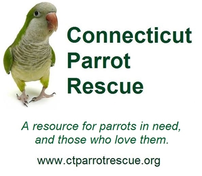 Connecticut Parrot Rescue