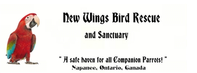 New Wings Bird Rescue & Sanctuary